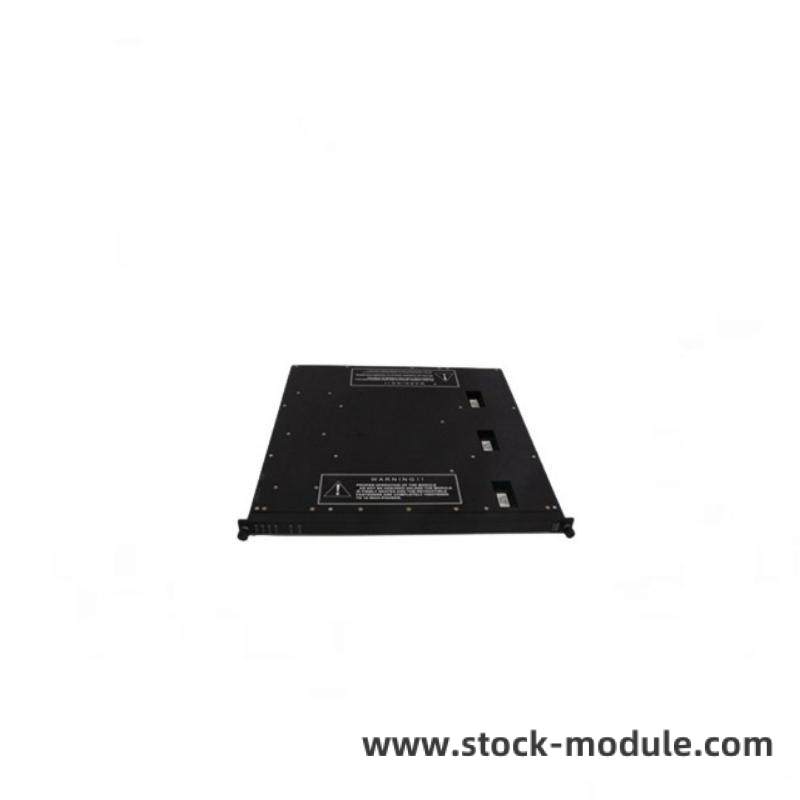 TRICONEX EPI3382 Front View