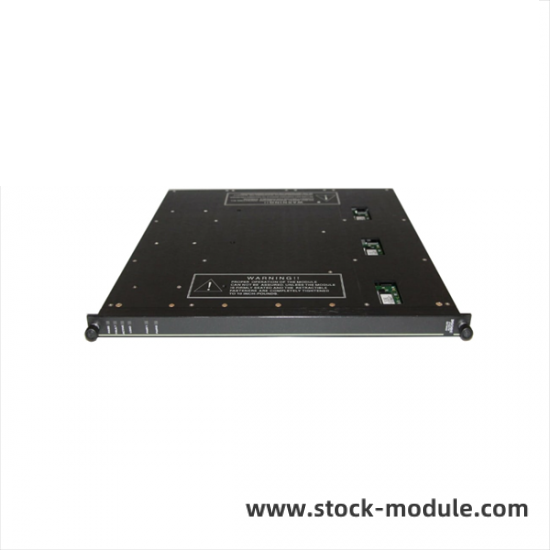 Triconex Module Diagram