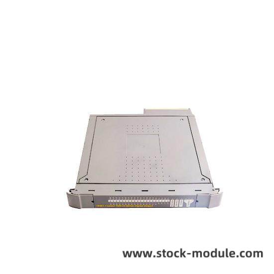 ICS Triplex T8461 Module