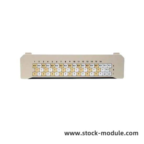 WESTINGHOUSE 1C31238H01 Module Front View