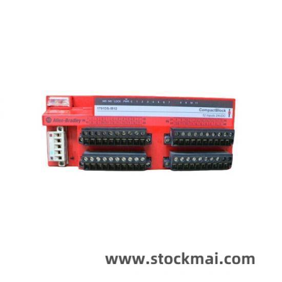 1791-DSIB12 Module