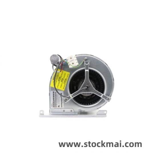 Module Diagram