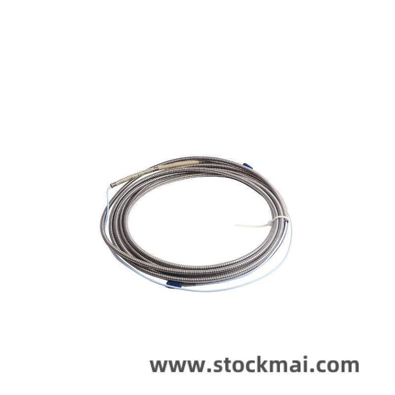 BENTLY 147663-01 Module