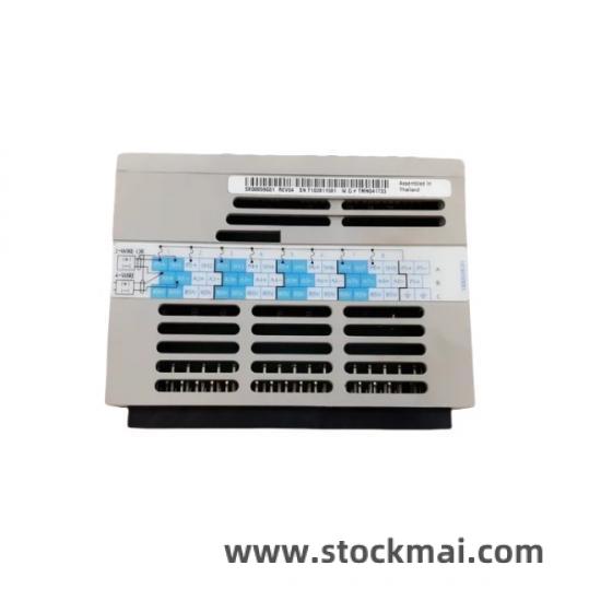 EMERSON 1000554 Module