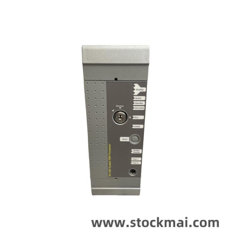 ICS Triplex T8110B Module