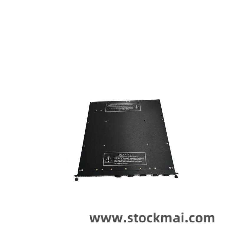 TRICONEX 4000093-210 Front View