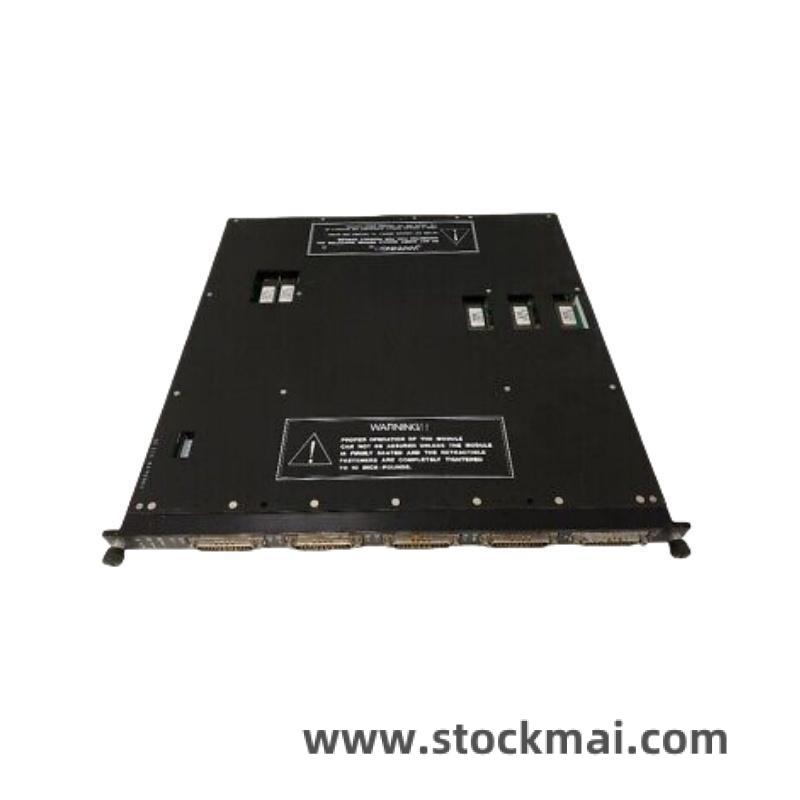 TRICONEX 4119A Front View