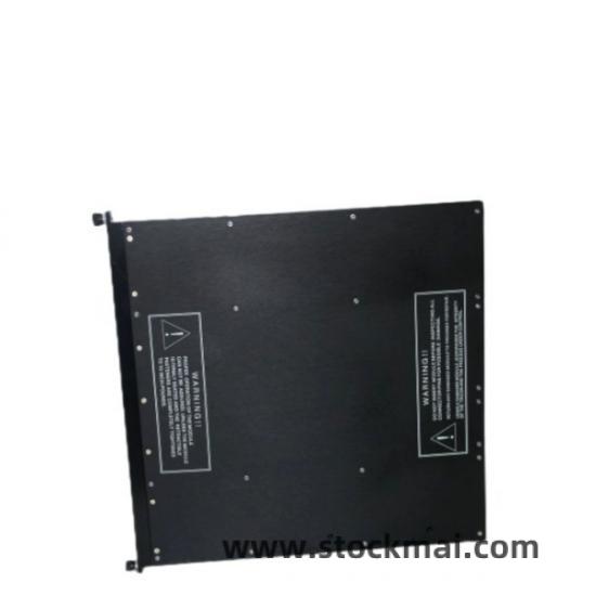 TRICONEX 4000093-110N Front View