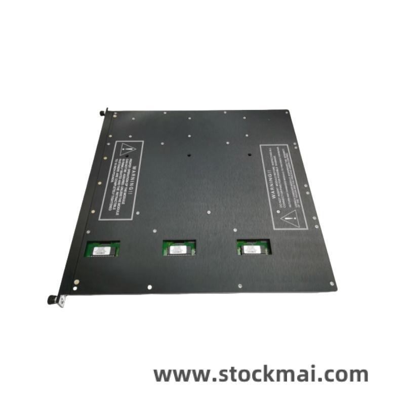 TRICONEX 4000093-110N Side View