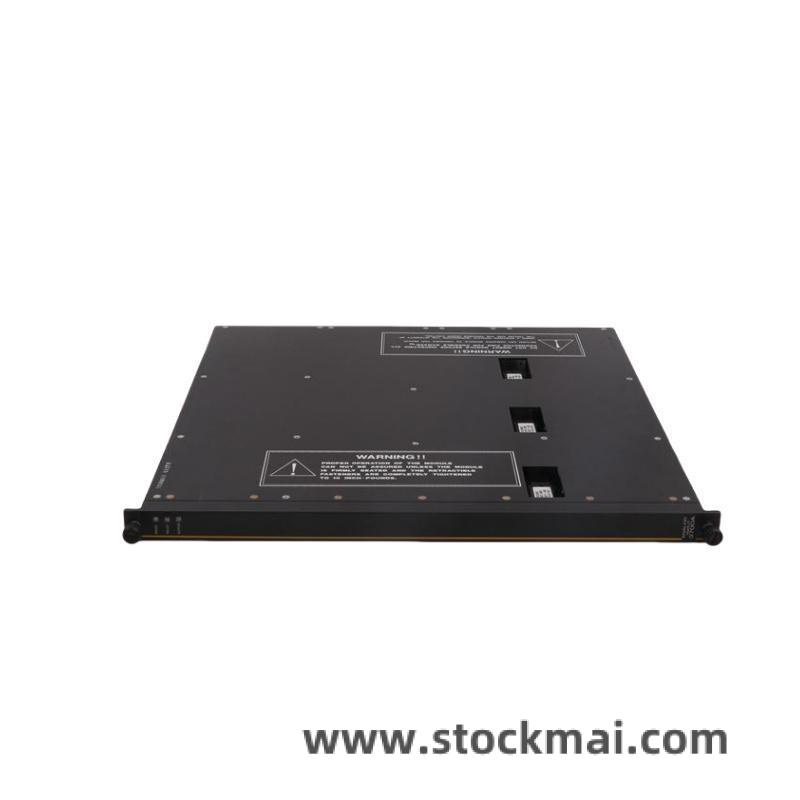 TRICONEX 4000093-306 Front View