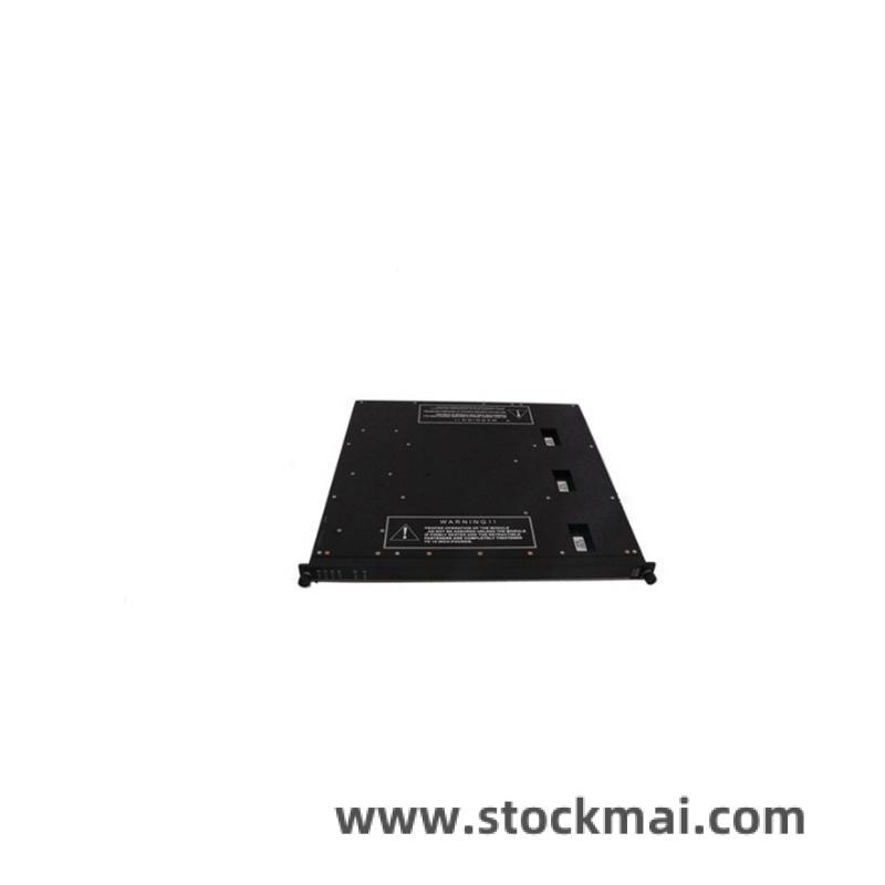 TRICONEX Module Front View