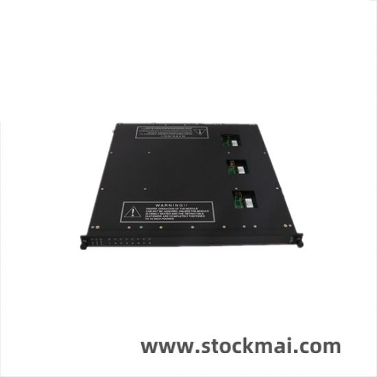 TRICONEX 9561-810 Front View