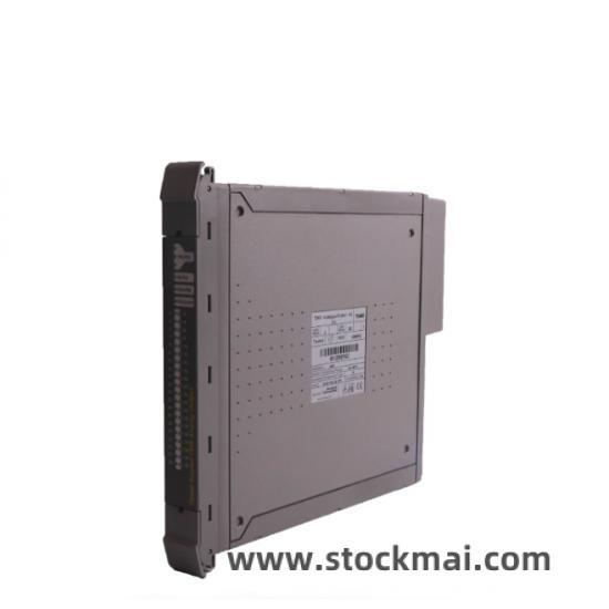 ICS Triplex T8480 Module
