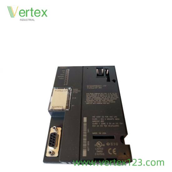 GE IC698CPE020-CC Port Details