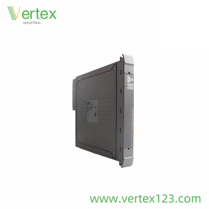 ICS TRIPLEX T8311 Interface