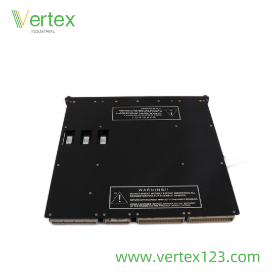 TRICONEX 9765-210 Module Installation