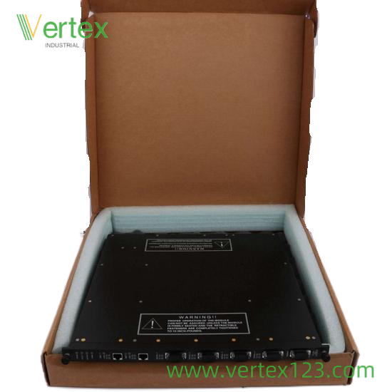 TRICONEX 4000093-145 Front View