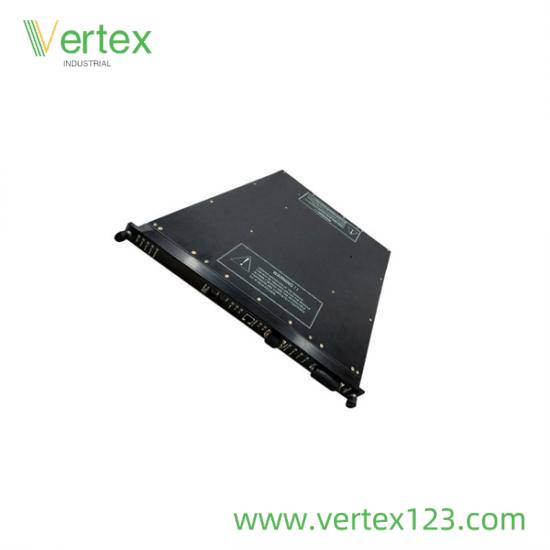 TRICONEX 9563-810 Side View