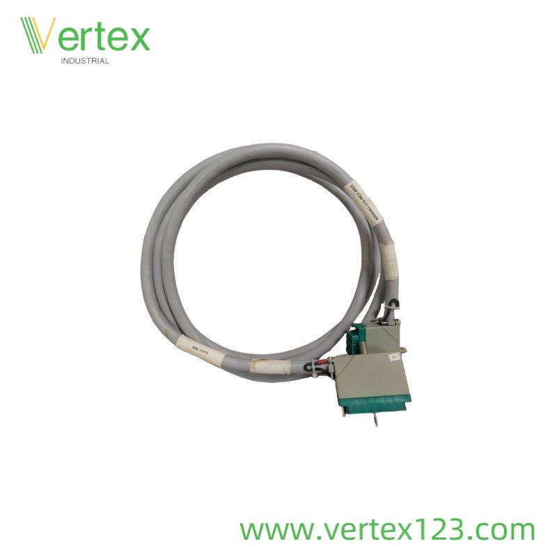 TRICONEX 9566-810F Module Front View