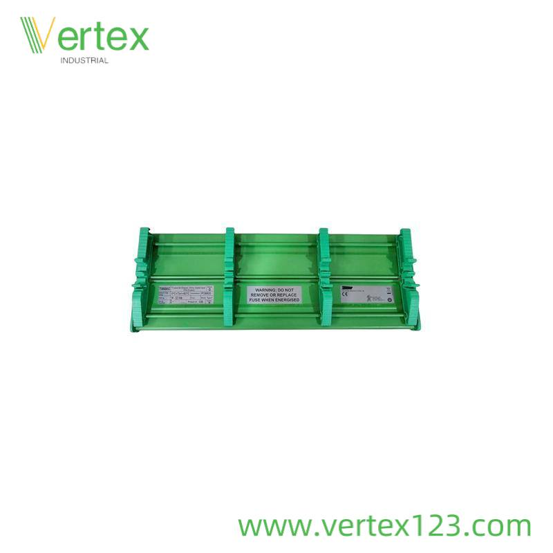 Triconex Module Interface