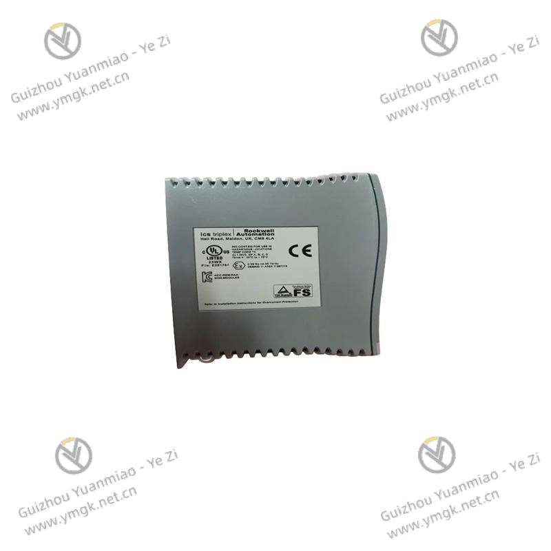 ICS TRIPLEX T8191 Front Panel