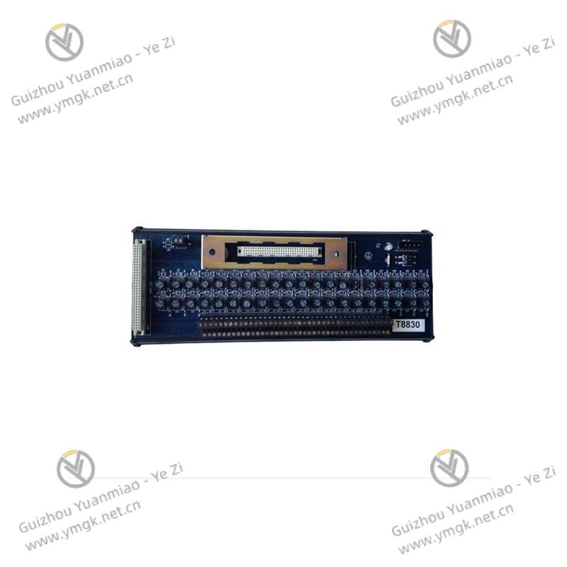 ICS TRIPLEX T8191 Technical View
