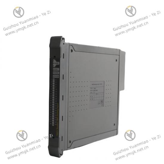 ICS TRIPLEX T8431 Technical View