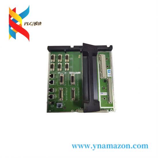 TRICONEX 8105N模块结构图